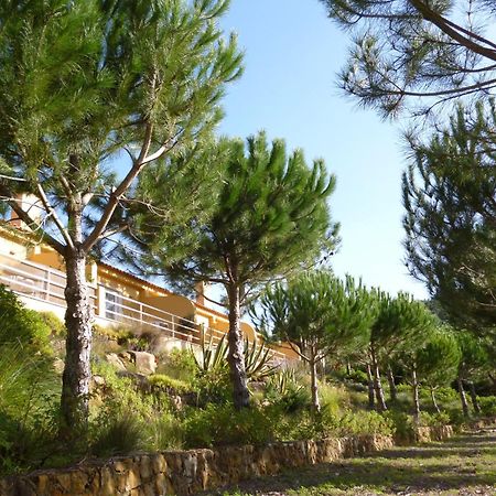 Апартаменты Quinta Raposeiros Santo Isidoro Экстерьер фото