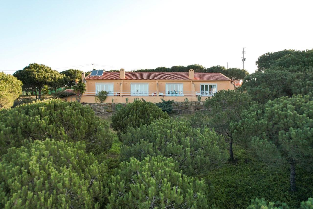 Апартаменты Quinta Raposeiros Santo Isidoro Экстерьер фото