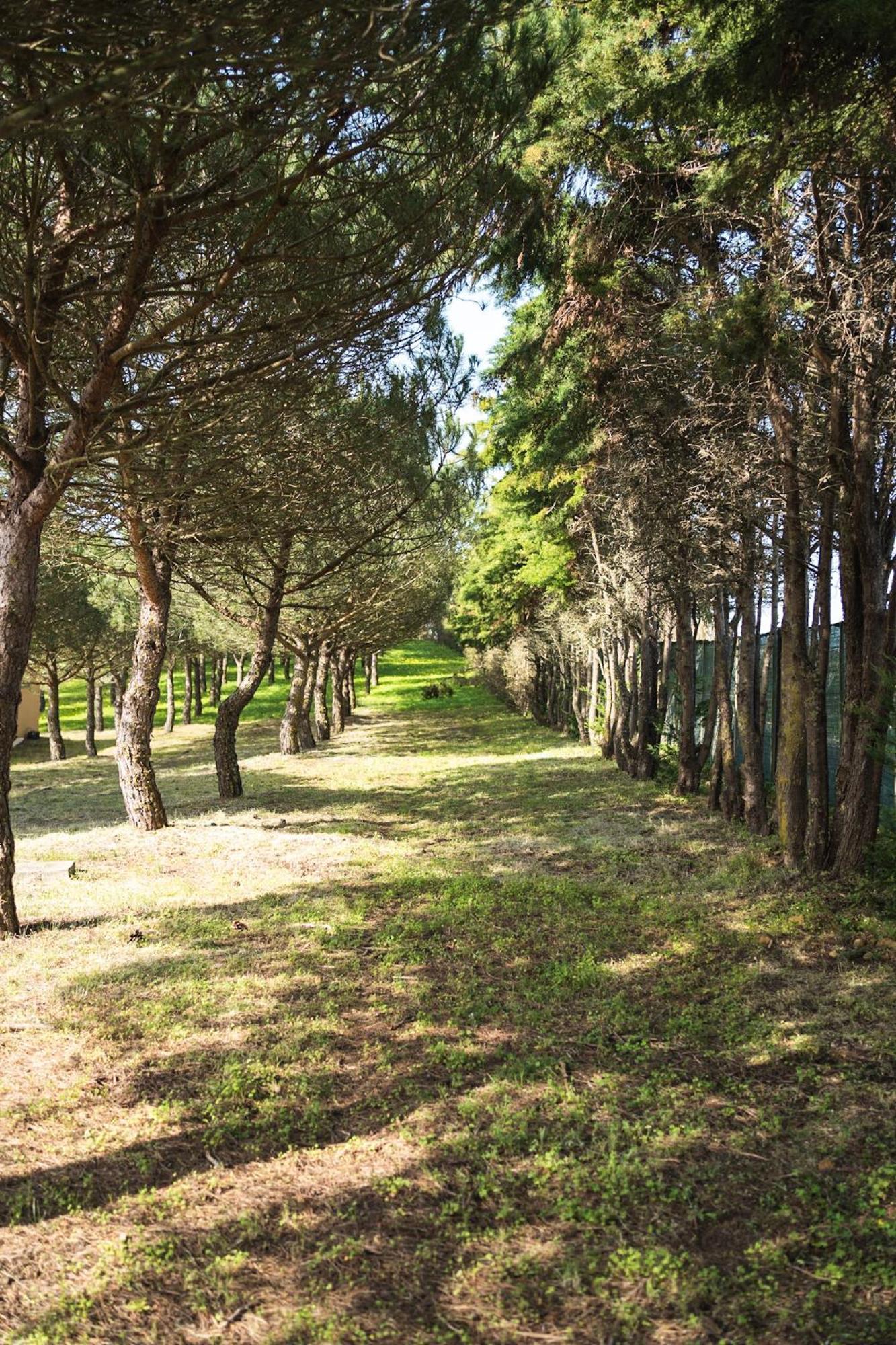 Апартаменты Quinta Raposeiros Santo Isidoro Экстерьер фото