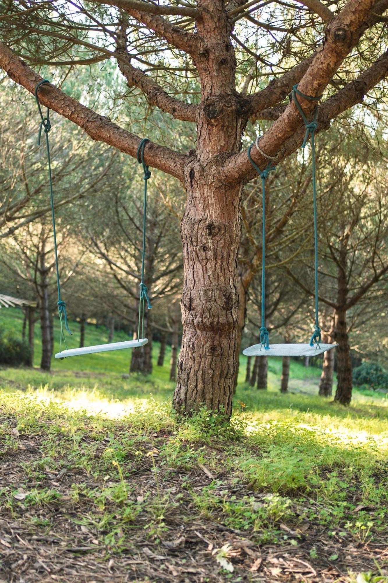 Апартаменты Quinta Raposeiros Santo Isidoro Экстерьер фото