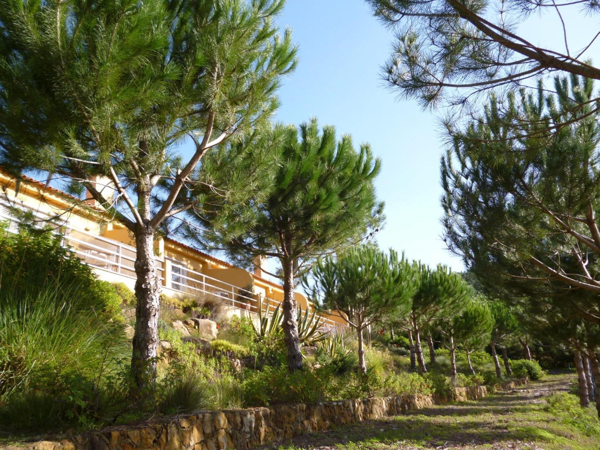 Апартаменты Quinta Raposeiros Santo Isidoro Экстерьер фото