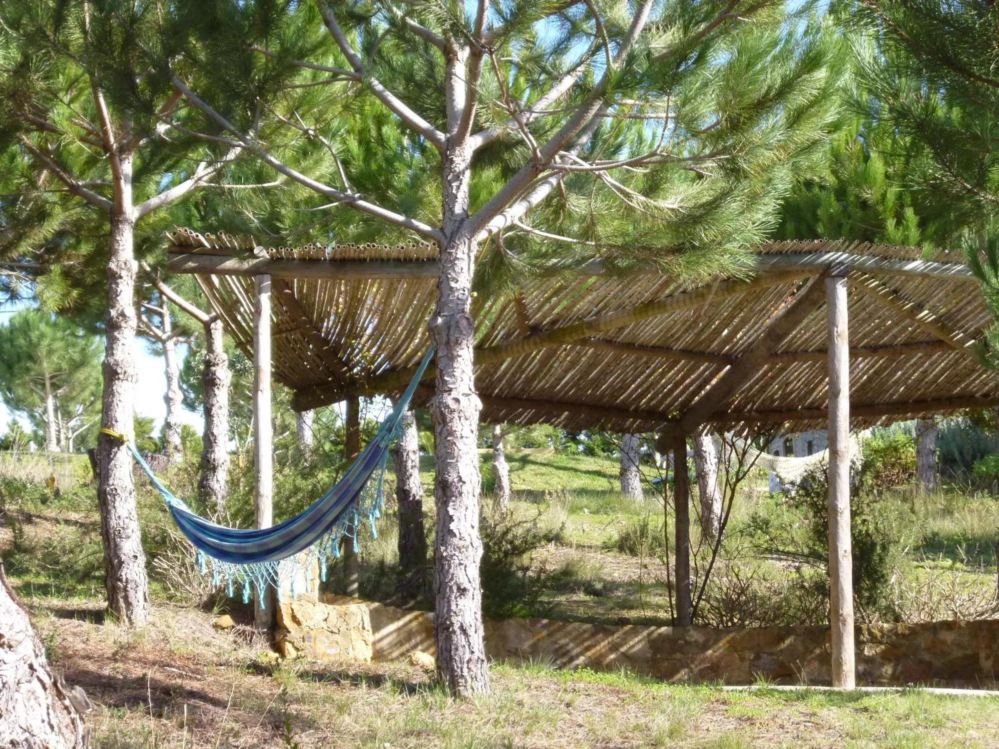 Апартаменты Quinta Raposeiros Santo Isidoro Экстерьер фото