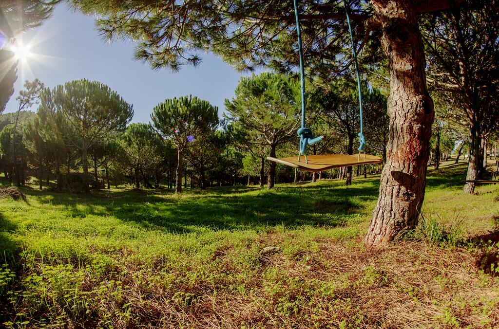 Апартаменты Quinta Raposeiros Santo Isidoro Экстерьер фото